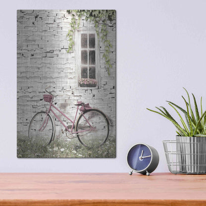Luxe Metal Art 'Ready for a Bike Ride' by Lori Deiter, Metal Wall Art,12x16