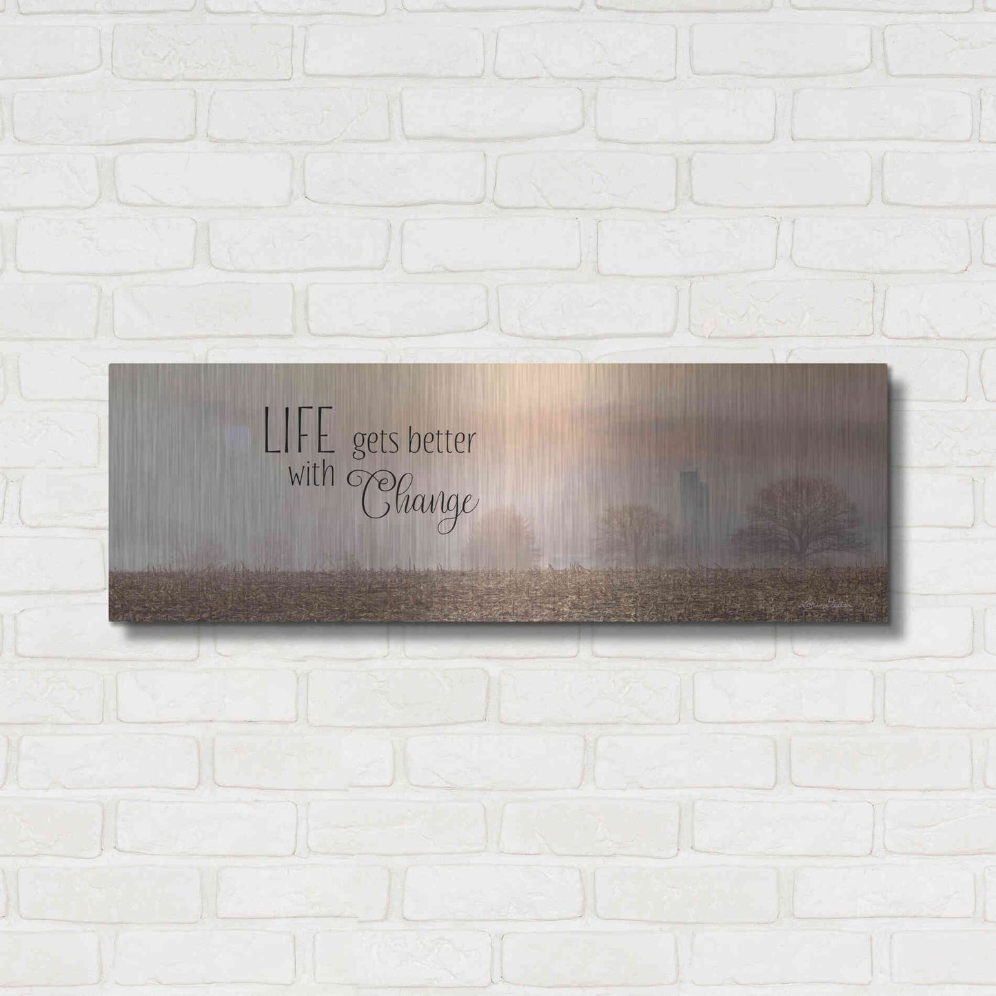 Luxe Metal Art 'Life Gets Better with Change' by Lori Deiter, Metal Wall Art,36x12