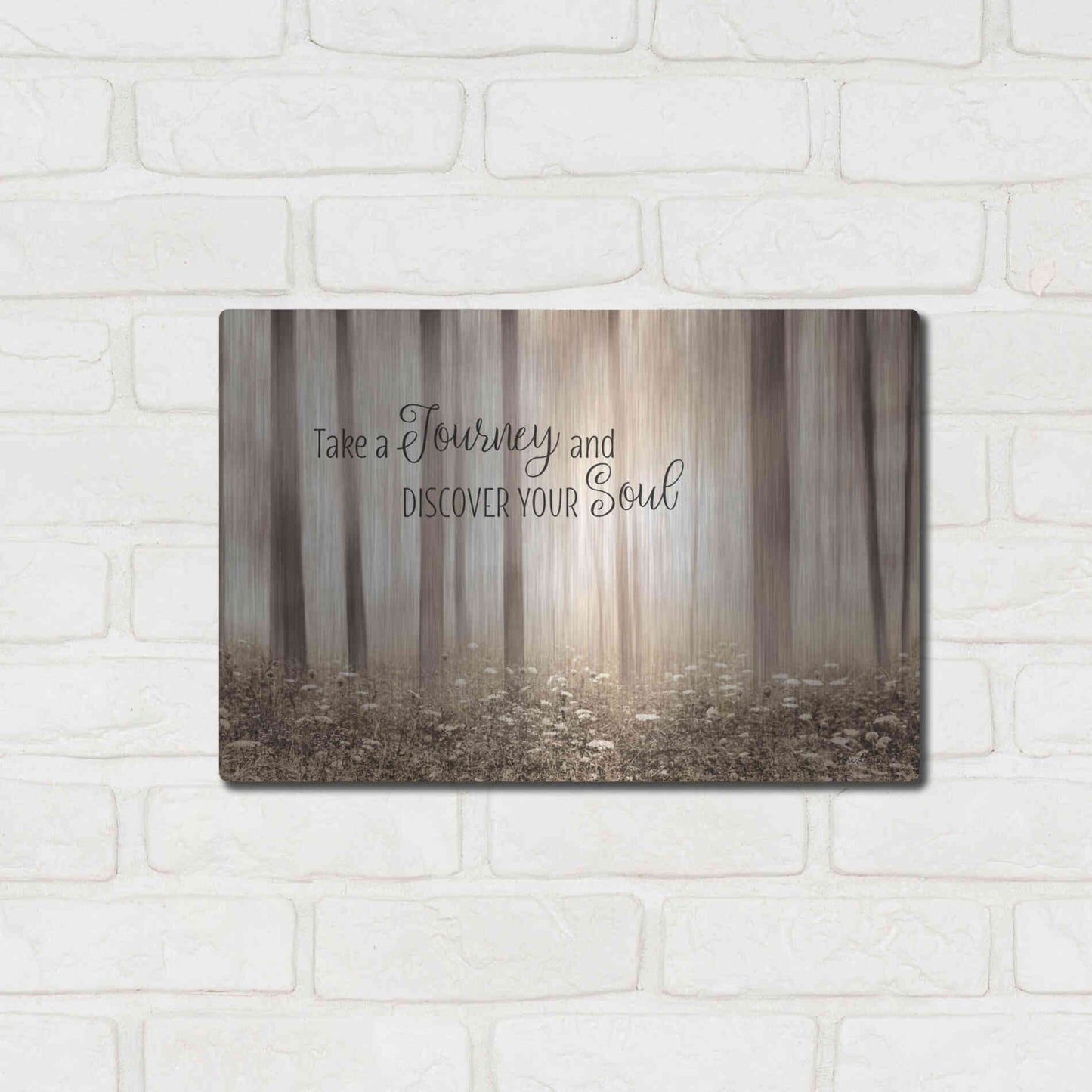 Luxe Metal Art 'Take a Journey and Discover Your Soul' by Lori Deiter, Metal Wall Art,16x12