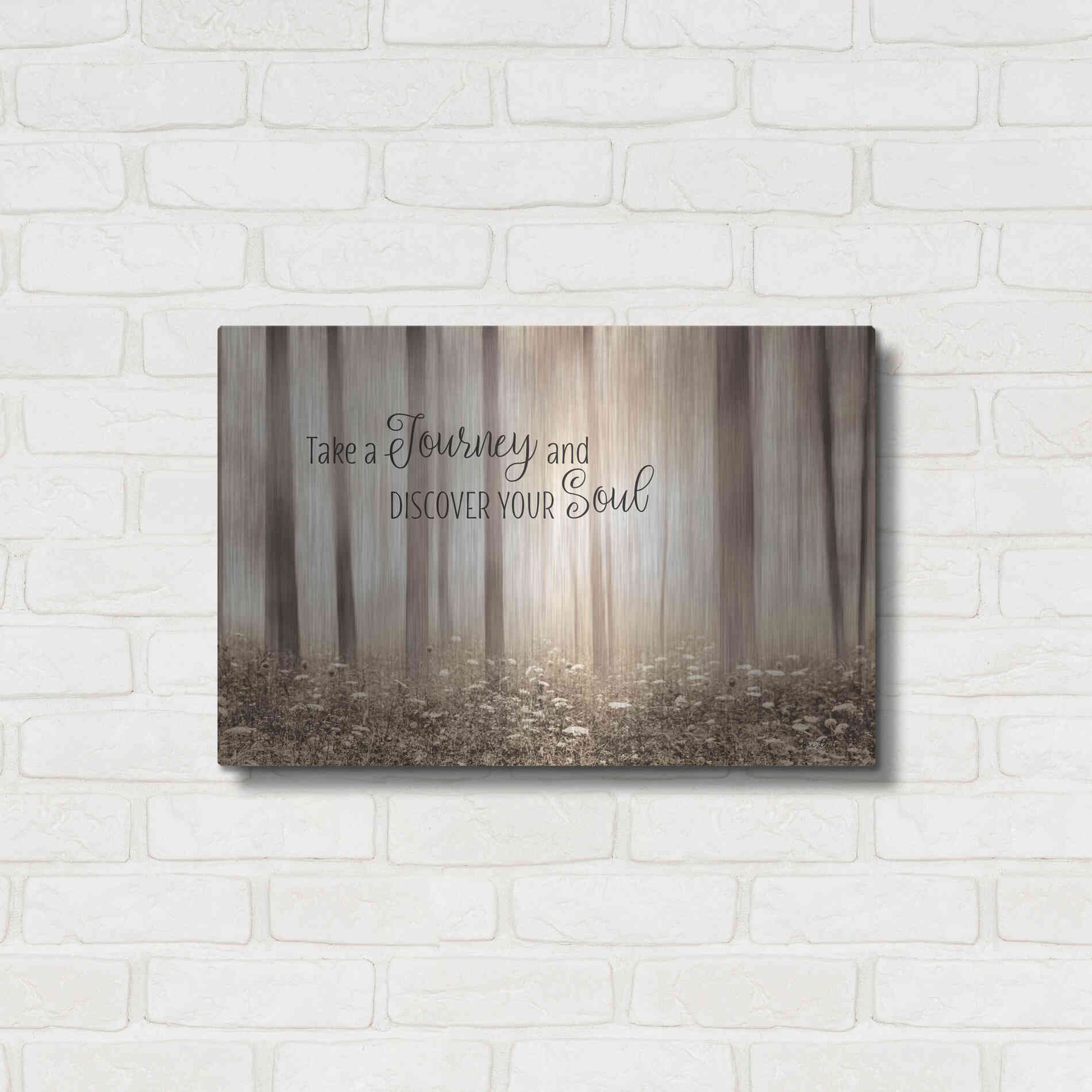 Luxe Metal Art 'Take a Journey and Discover Your Soul' by Lori Deiter, Metal Wall Art,24x16