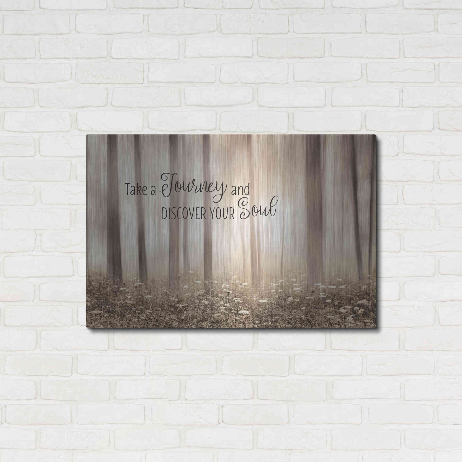 Luxe Metal Art 'Take a Journey and Discover Your Soul' by Lori Deiter, Metal Wall Art,36x24