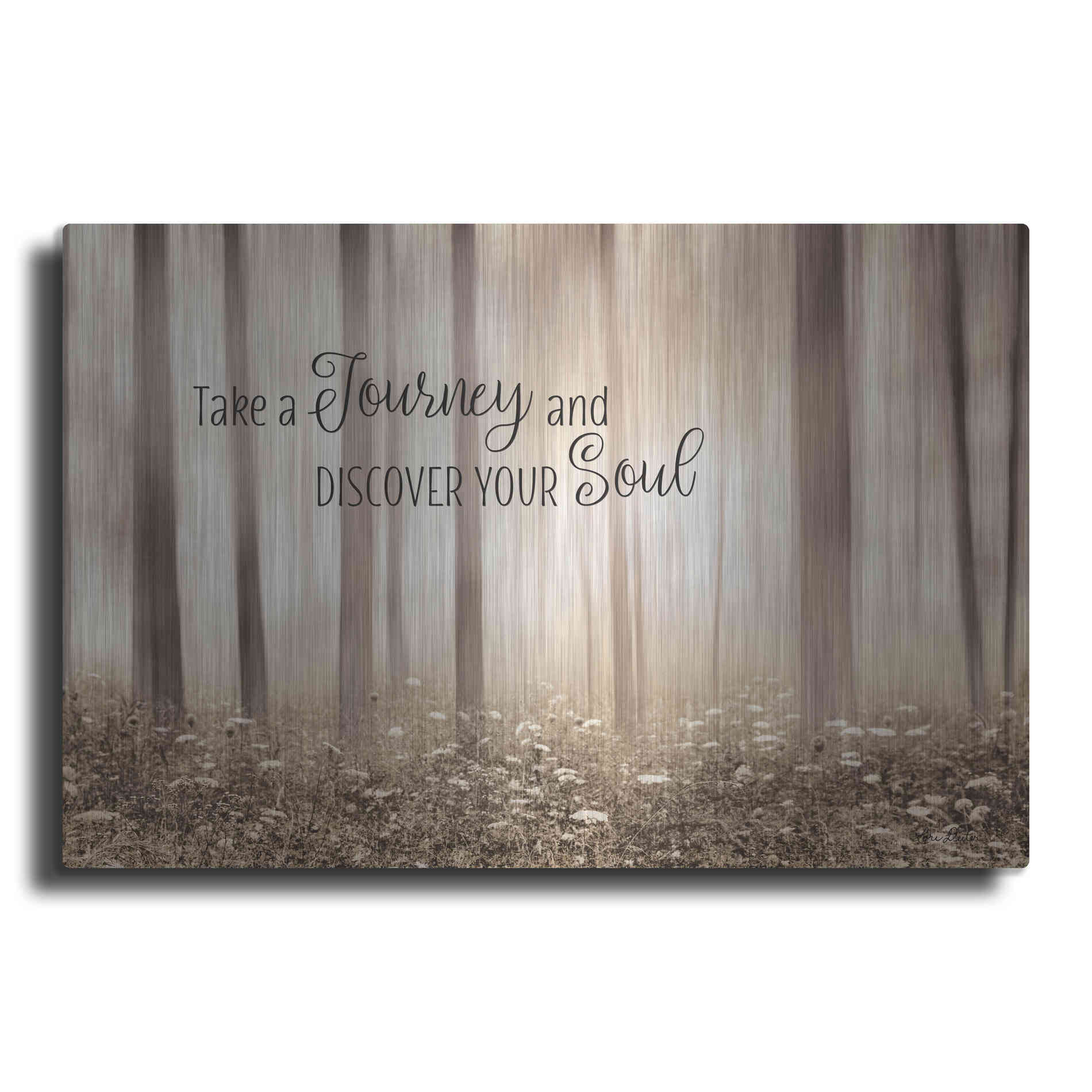 Luxe Metal Art 'Take a Journey and Discover Your Soul' by Lori Deiter, Metal Wall Art