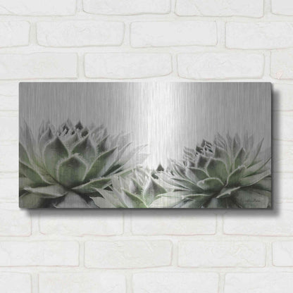 Luxe Metal Art 'Soft Succulents I' by Lori Deiter, Metal Wall Art,24x12