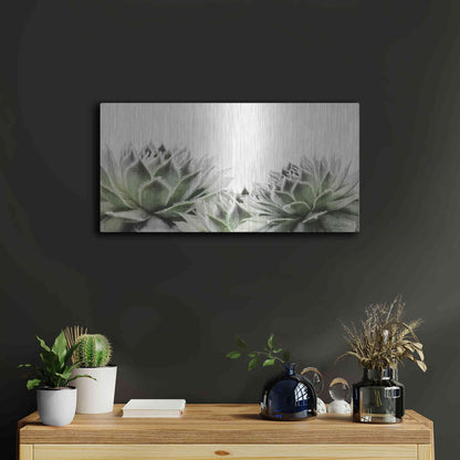 Luxe Metal Art 'Soft Succulents I' by Lori Deiter, Metal Wall Art,24x12