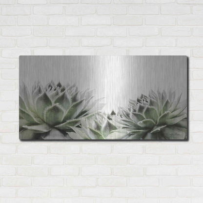 Luxe Metal Art 'Soft Succulents I' by Lori Deiter, Metal Wall Art,48x24