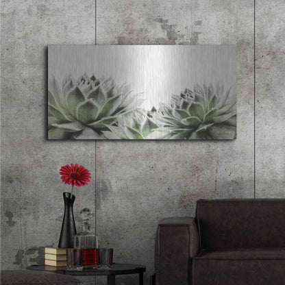 Luxe Metal Art 'Soft Succulents I' by Lori Deiter, Metal Wall Art,48x24