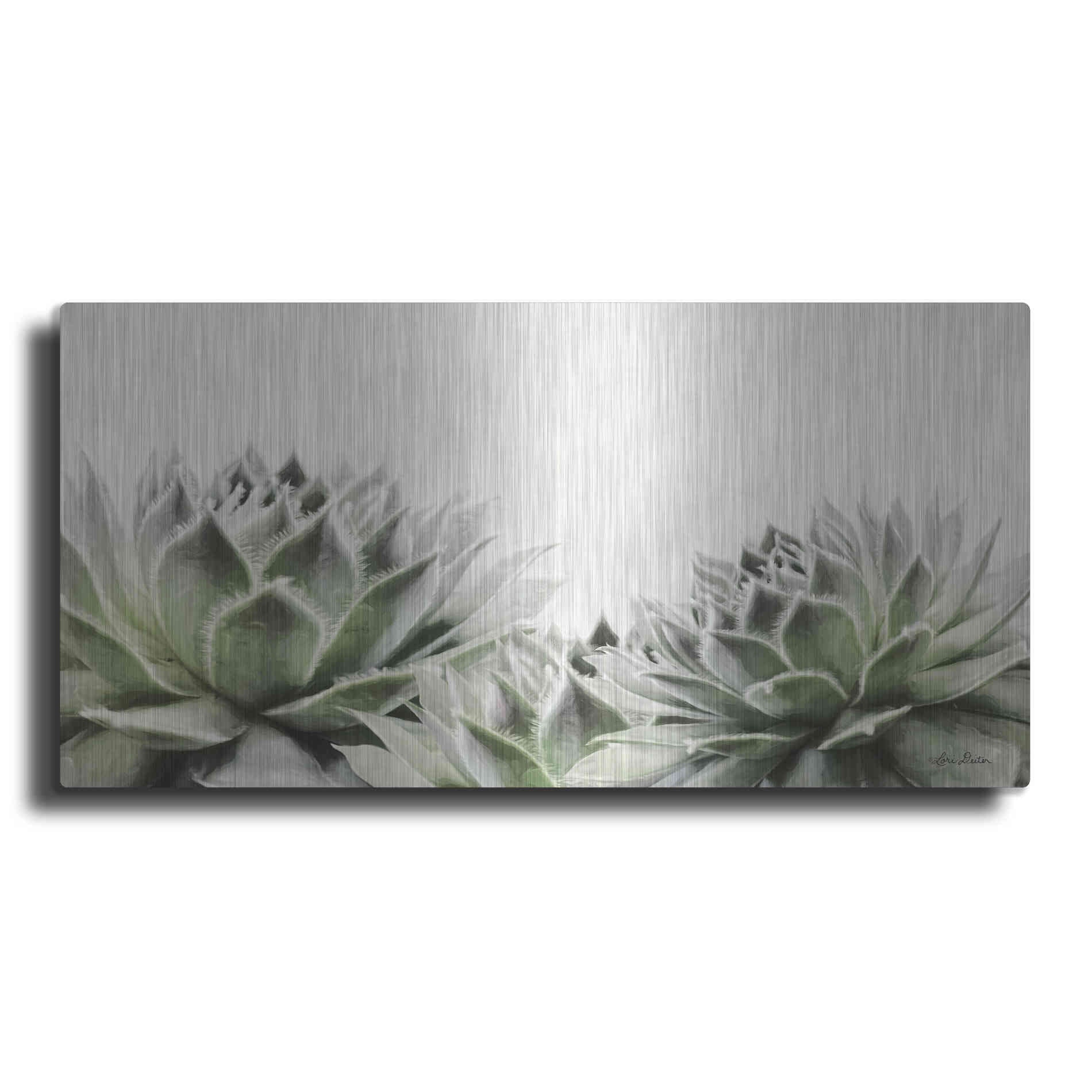 Luxe Metal Art 'Soft Succulents I' by Lori Deiter, Metal Wall Art