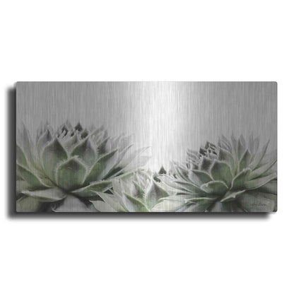 Luxe Metal Art 'Soft Succulents I' by Lori Deiter, Metal Wall Art
