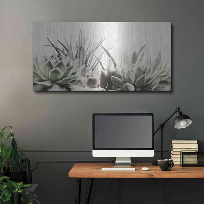 Luxe Metal Art 'Soft Succulents II' by Lori Deiter, Metal Wall Art,48x24