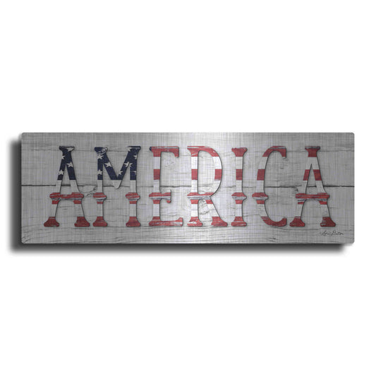 Luxe Metal Art 'America' by Lori Deiter, Metal Wall Art