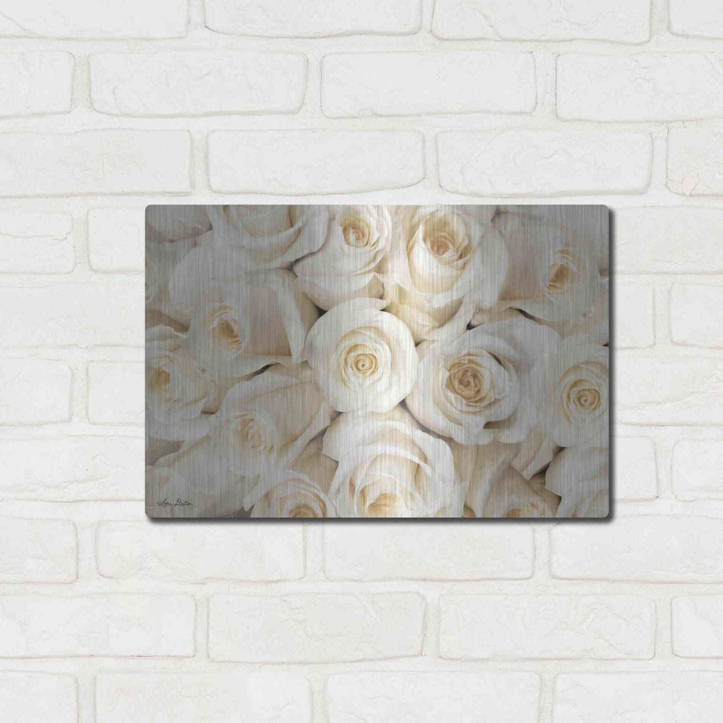 Luxe Metal Art 'Top View - White Roses' by Lori Deiter, Metal Wall Art,16x12