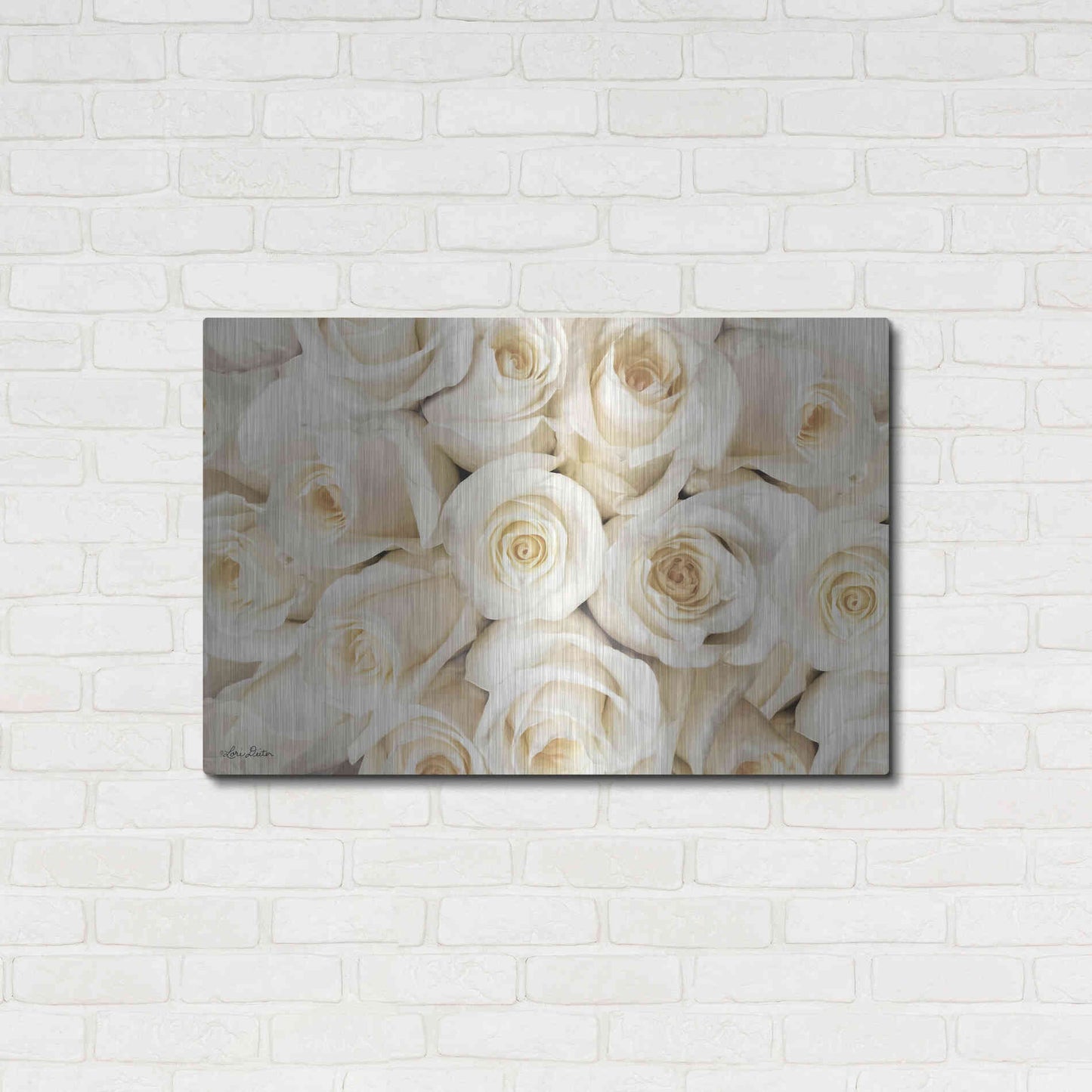 Luxe Metal Art 'Top View - White Roses' by Lori Deiter, Metal Wall Art,36x24