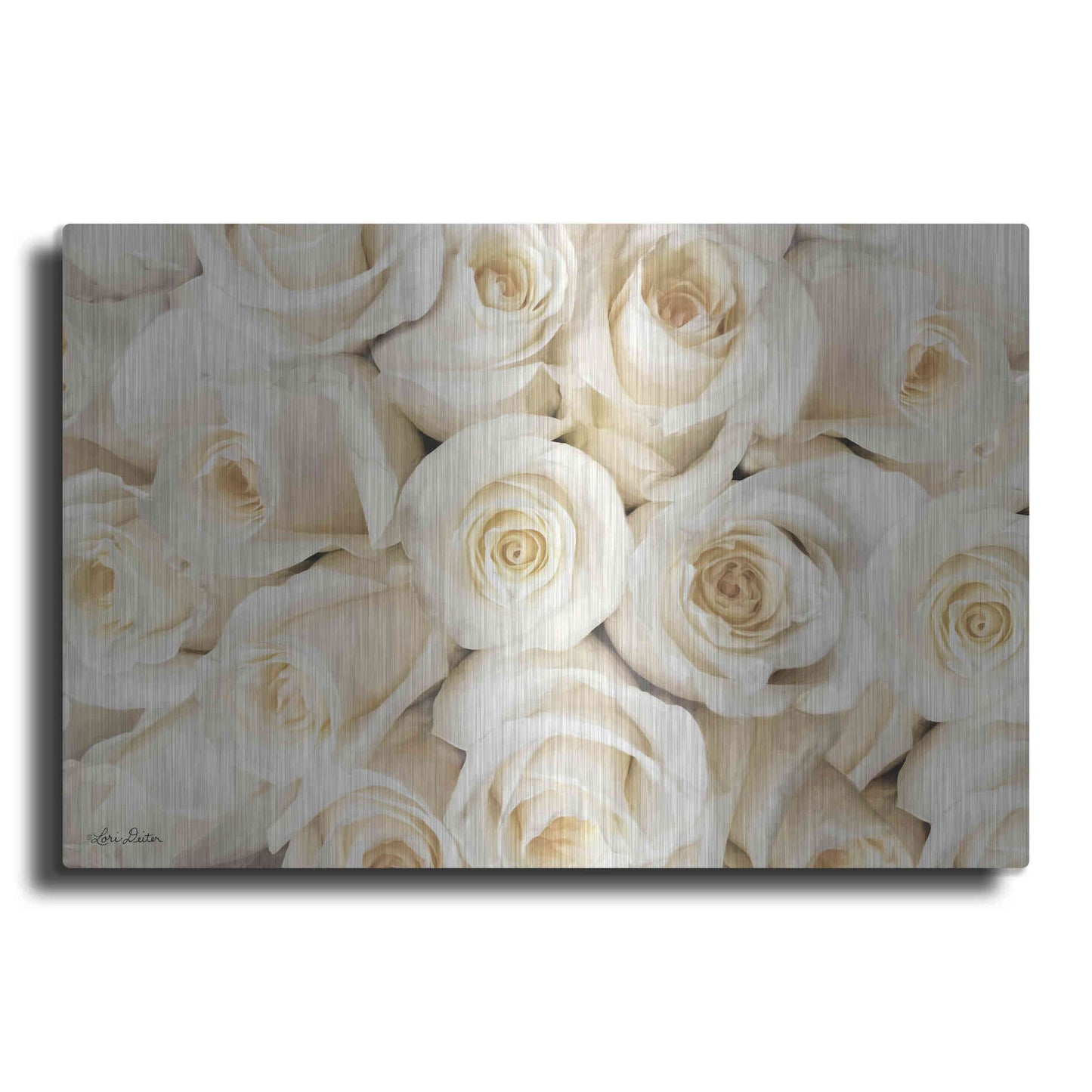 Luxe Metal Art 'Top View - White Roses' by Lori Deiter, Metal Wall Art