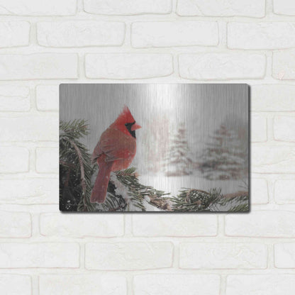 Luxe Metal Art 'Winter Perch' by Lori Deiter, Metal Wall Art,16x12