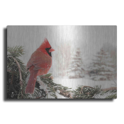 Luxe Metal Art 'Winter Perch' by Lori Deiter, Metal Wall Art