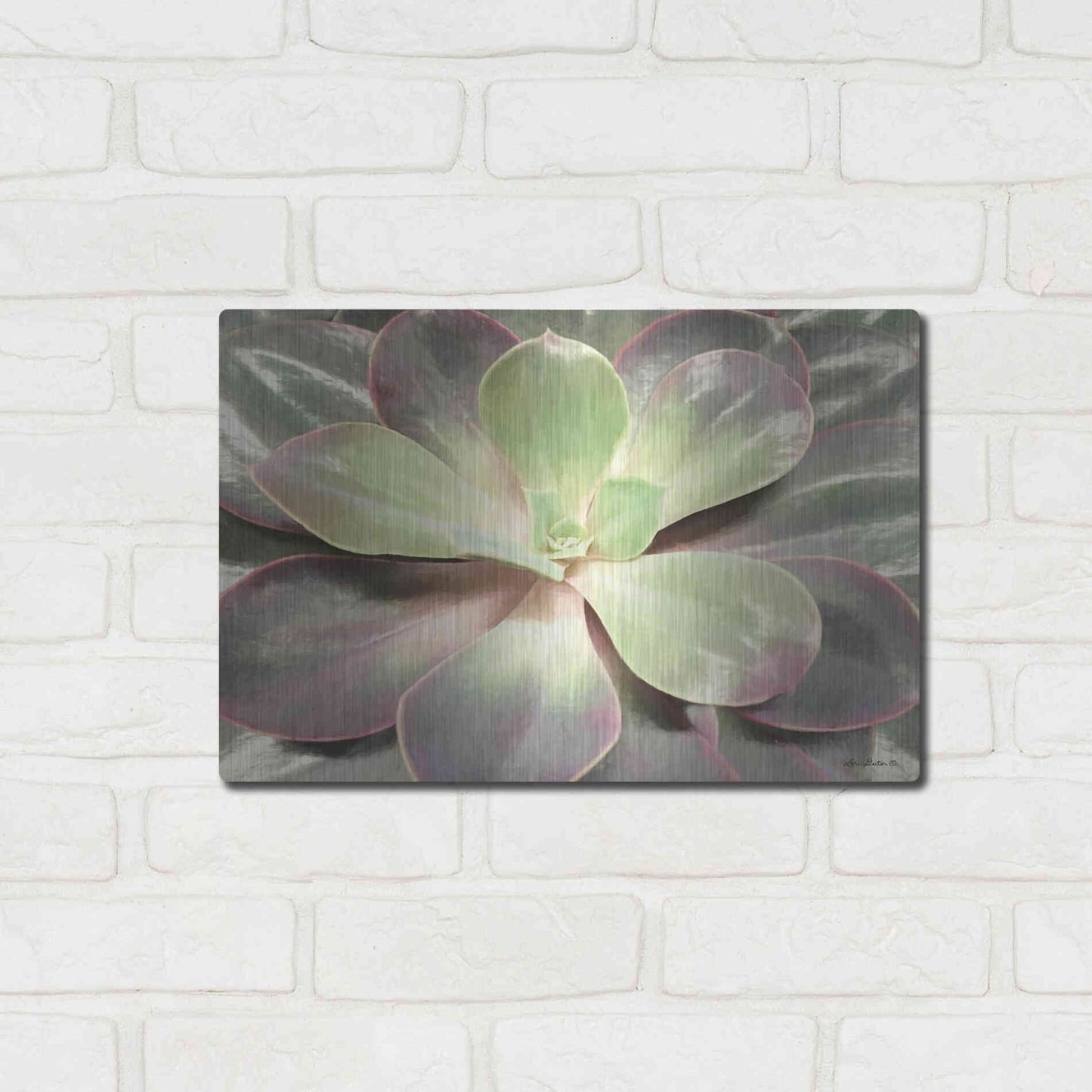 Luxe Metal Art 'Glowing Succulent I' by Lori Deiter, Metal Wall Art,16x12