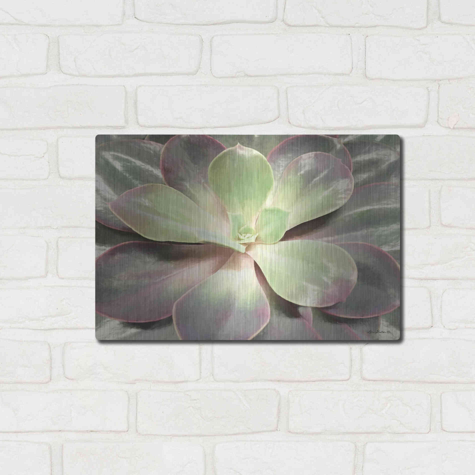 Luxe Metal Art 'Glowing Succulent I' by Lori Deiter, Metal Wall Art,16x12