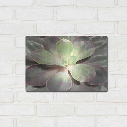 Luxe Metal Art 'Glowing Succulent I' by Lori Deiter, Metal Wall Art,16x12
