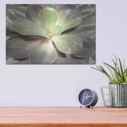 Luxe Metal Art 'Glowing Succulent I' by Lori Deiter, Metal Wall Art,16x12