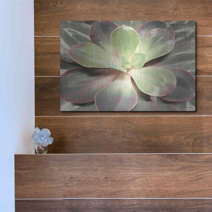 Luxe Metal Art 'Glowing Succulent I' by Lori Deiter, Metal Wall Art,16x12