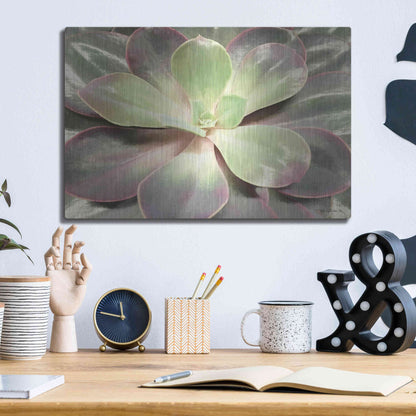 Luxe Metal Art 'Glowing Succulent I' by Lori Deiter, Metal Wall Art,16x12