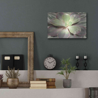 Luxe Metal Art 'Glowing Succulent I' by Lori Deiter, Metal Wall Art,16x12