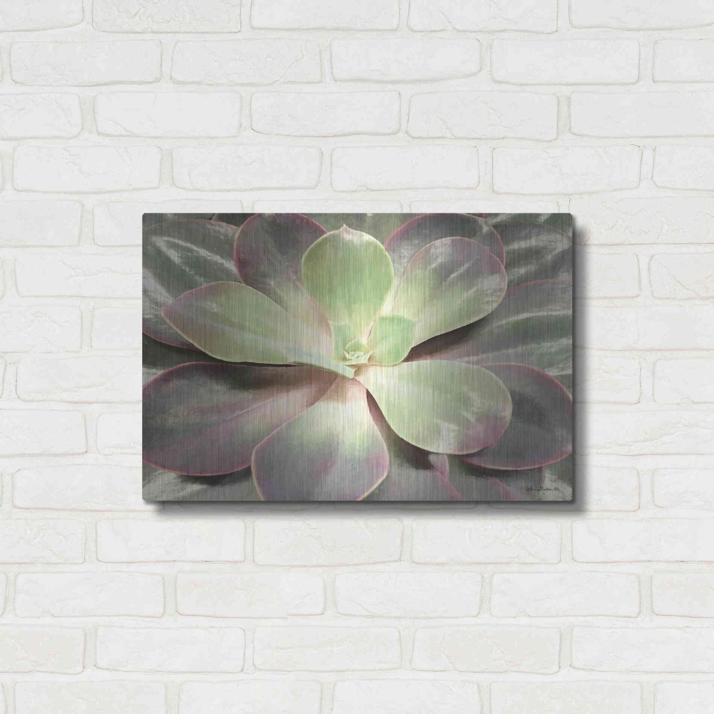 Luxe Metal Art 'Glowing Succulent I' by Lori Deiter, Metal Wall Art,24x16