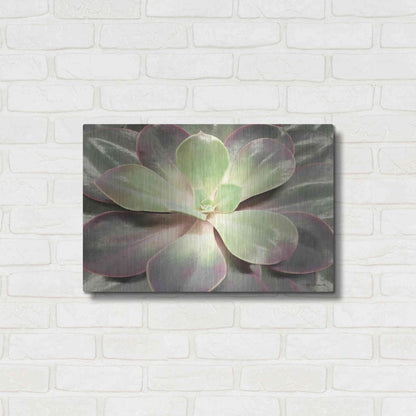 Luxe Metal Art 'Glowing Succulent I' by Lori Deiter, Metal Wall Art,24x16