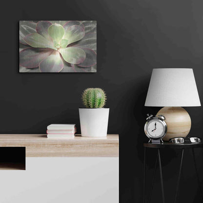 Luxe Metal Art 'Glowing Succulent I' by Lori Deiter, Metal Wall Art,24x16