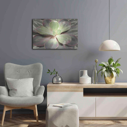 Luxe Metal Art 'Glowing Succulent I' by Lori Deiter, Metal Wall Art,24x16