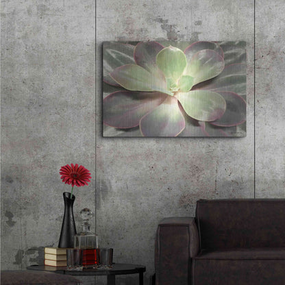 Luxe Metal Art 'Glowing Succulent I' by Lori Deiter, Metal Wall Art,36x24
