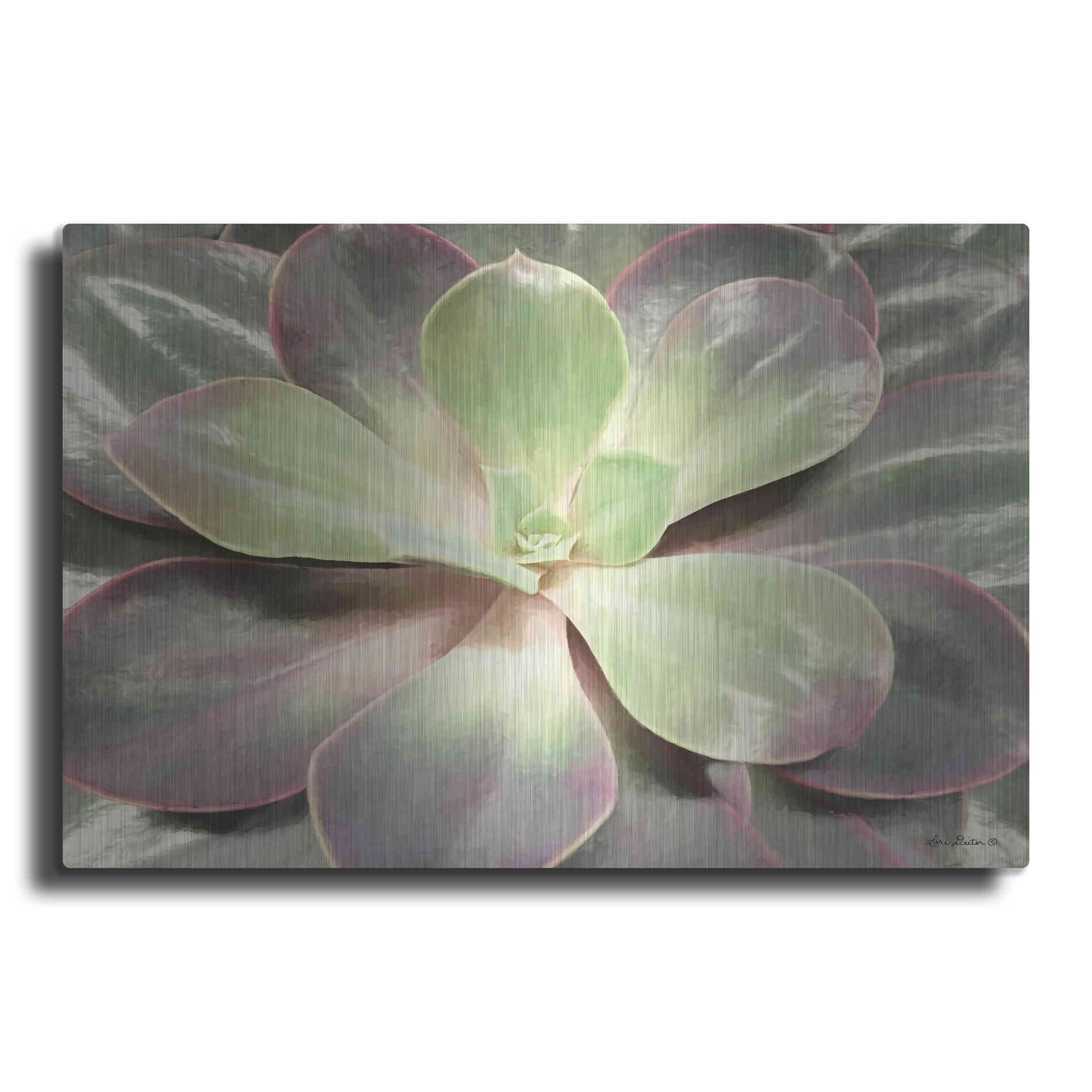 Luxe Metal Art 'Glowing Succulent I' by Lori Deiter, Metal Wall Art