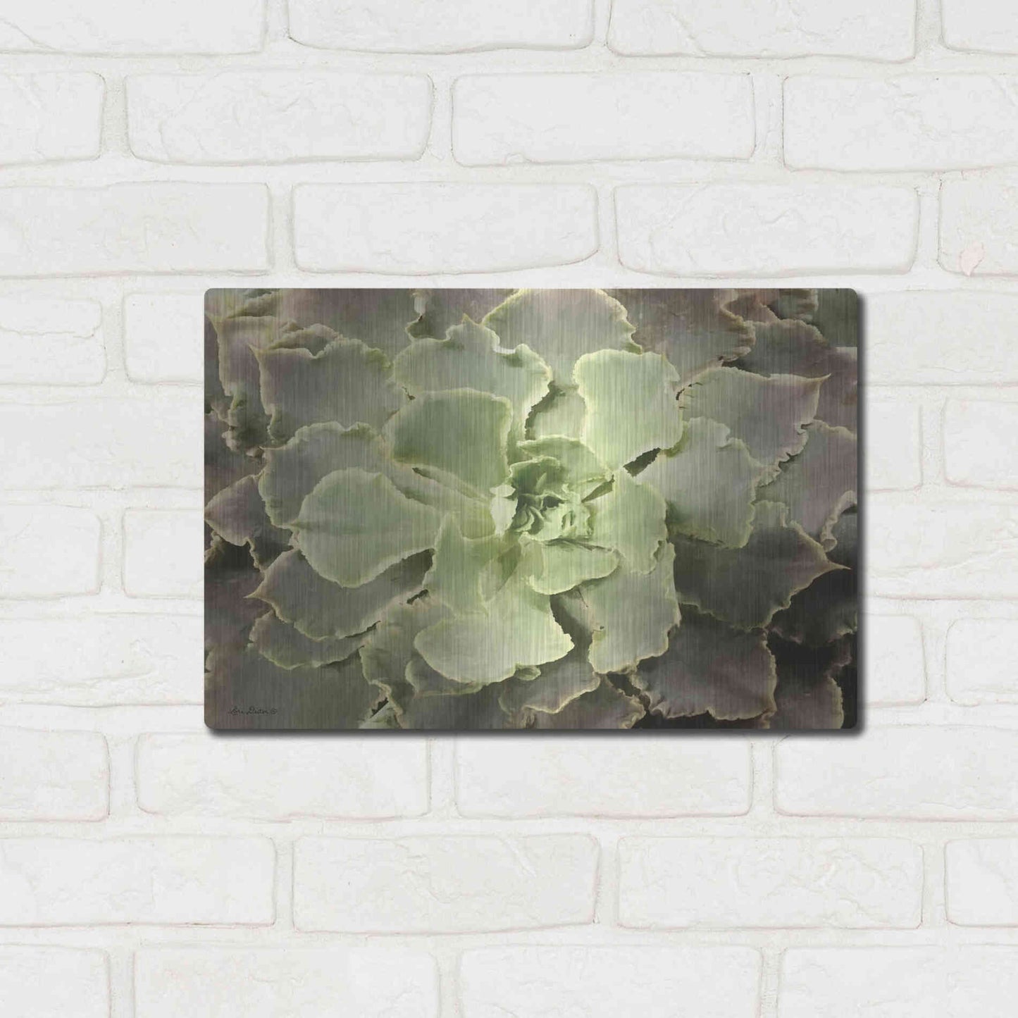 Luxe Metal Art 'Glowing Succulent II' by Lori Deiter, Metal Wall Art,16x12
