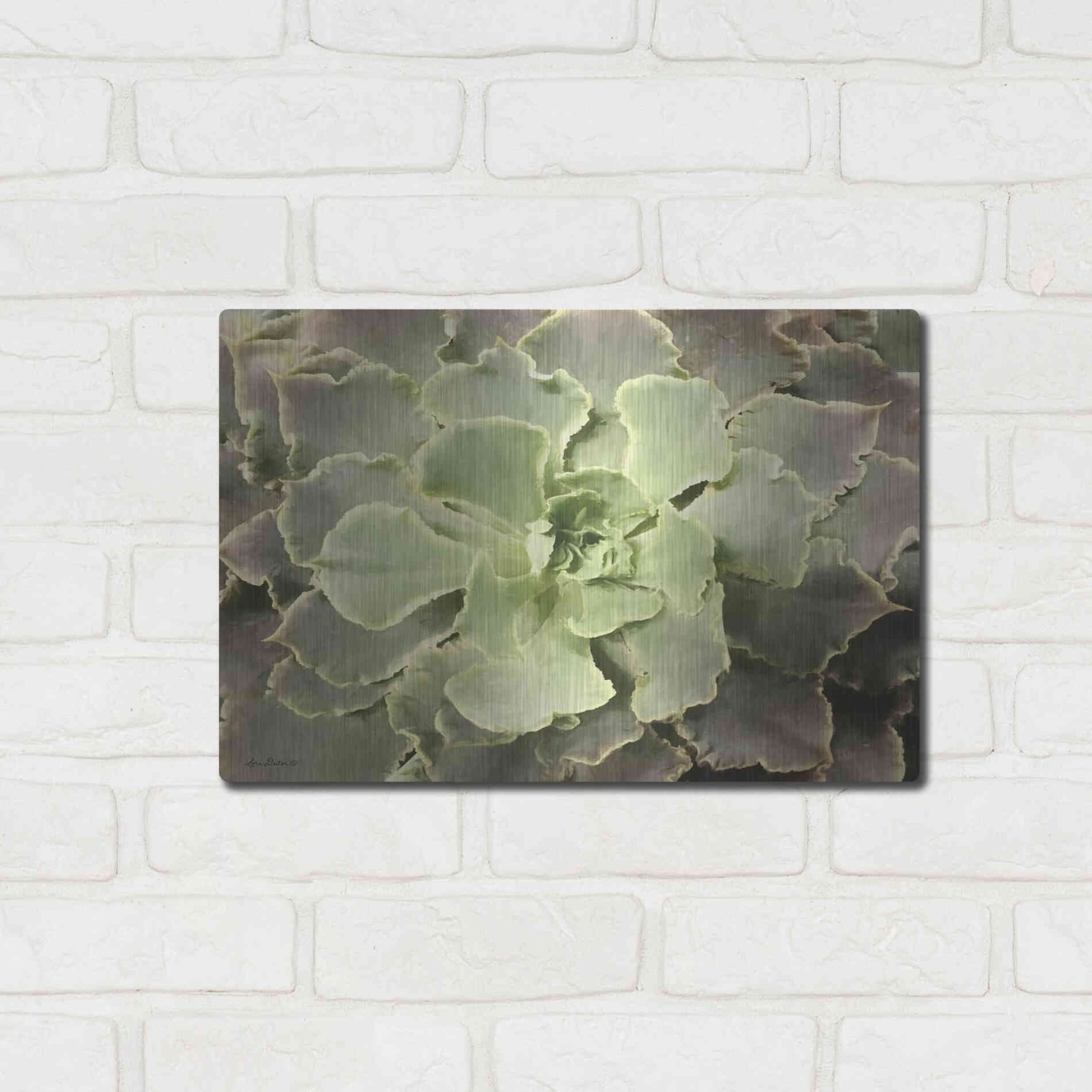 Luxe Metal Art 'Glowing Succulent II' by Lori Deiter, Metal Wall Art,16x12