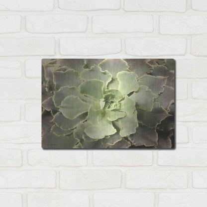 Luxe Metal Art 'Glowing Succulent II' by Lori Deiter, Metal Wall Art,16x12