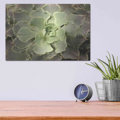 Luxe Metal Art 'Glowing Succulent II' by Lori Deiter, Metal Wall Art,16x12