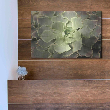 Luxe Metal Art 'Glowing Succulent II' by Lori Deiter, Metal Wall Art,16x12
