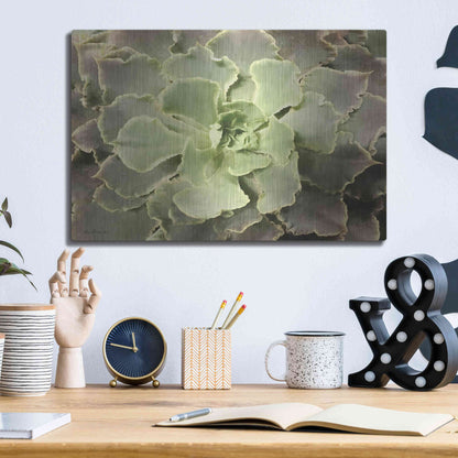 Luxe Metal Art 'Glowing Succulent II' by Lori Deiter, Metal Wall Art,16x12