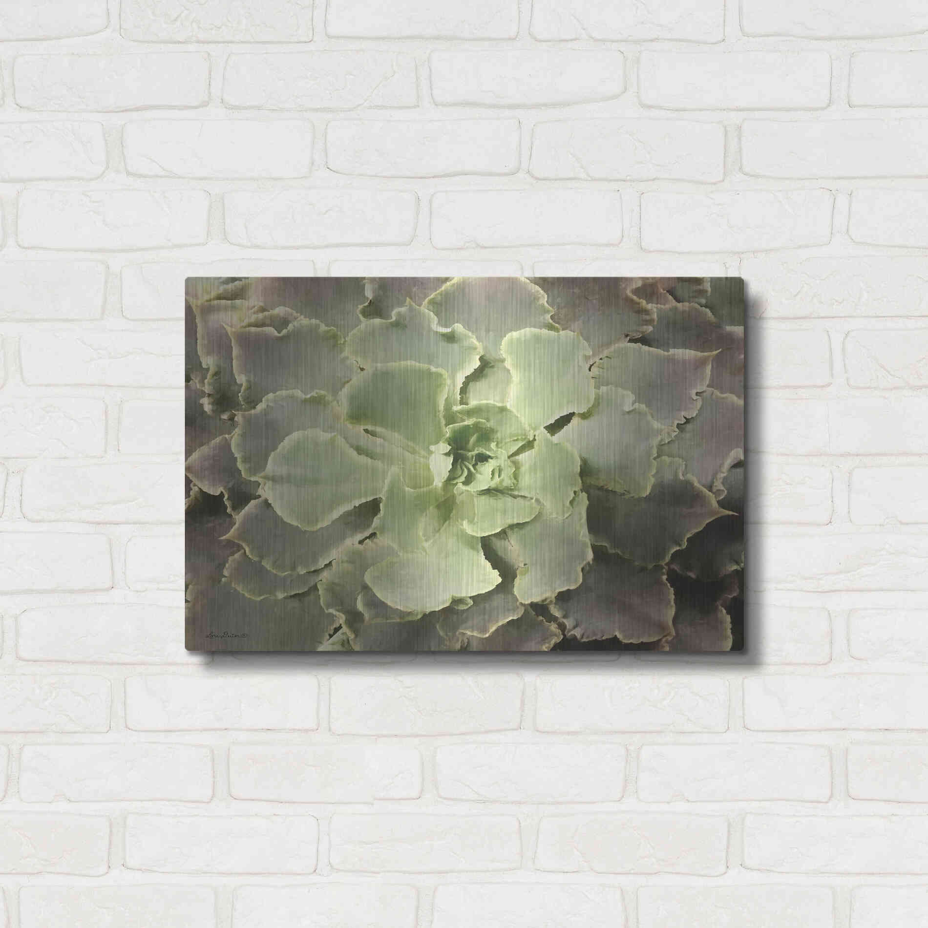 Luxe Metal Art 'Glowing Succulent II' by Lori Deiter, Metal Wall Art,24x16