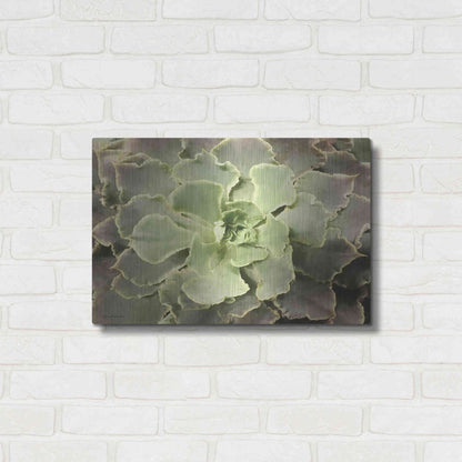 Luxe Metal Art 'Glowing Succulent II' by Lori Deiter, Metal Wall Art,24x16