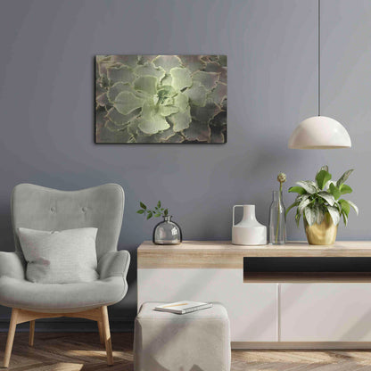 Luxe Metal Art 'Glowing Succulent II' by Lori Deiter, Metal Wall Art,24x16