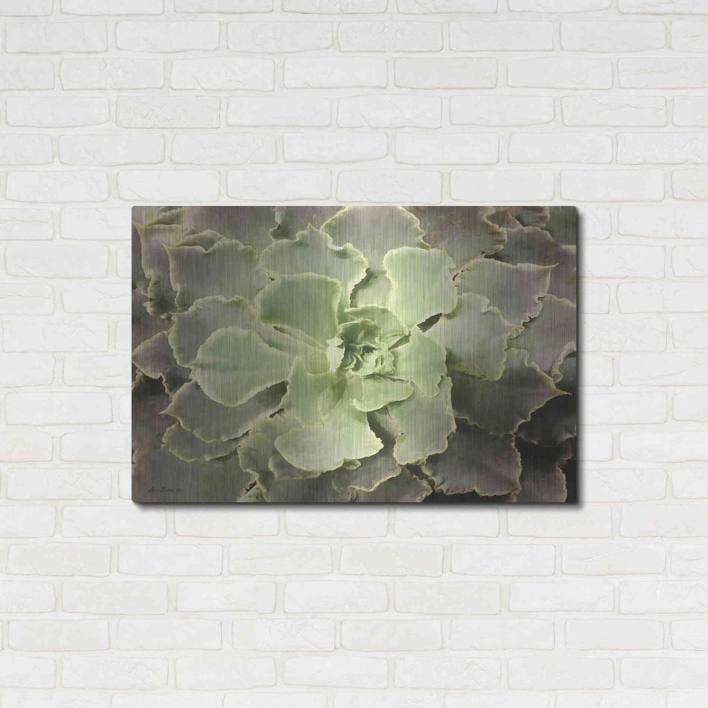 Luxe Metal Art 'Glowing Succulent II' by Lori Deiter, Metal Wall Art,36x24