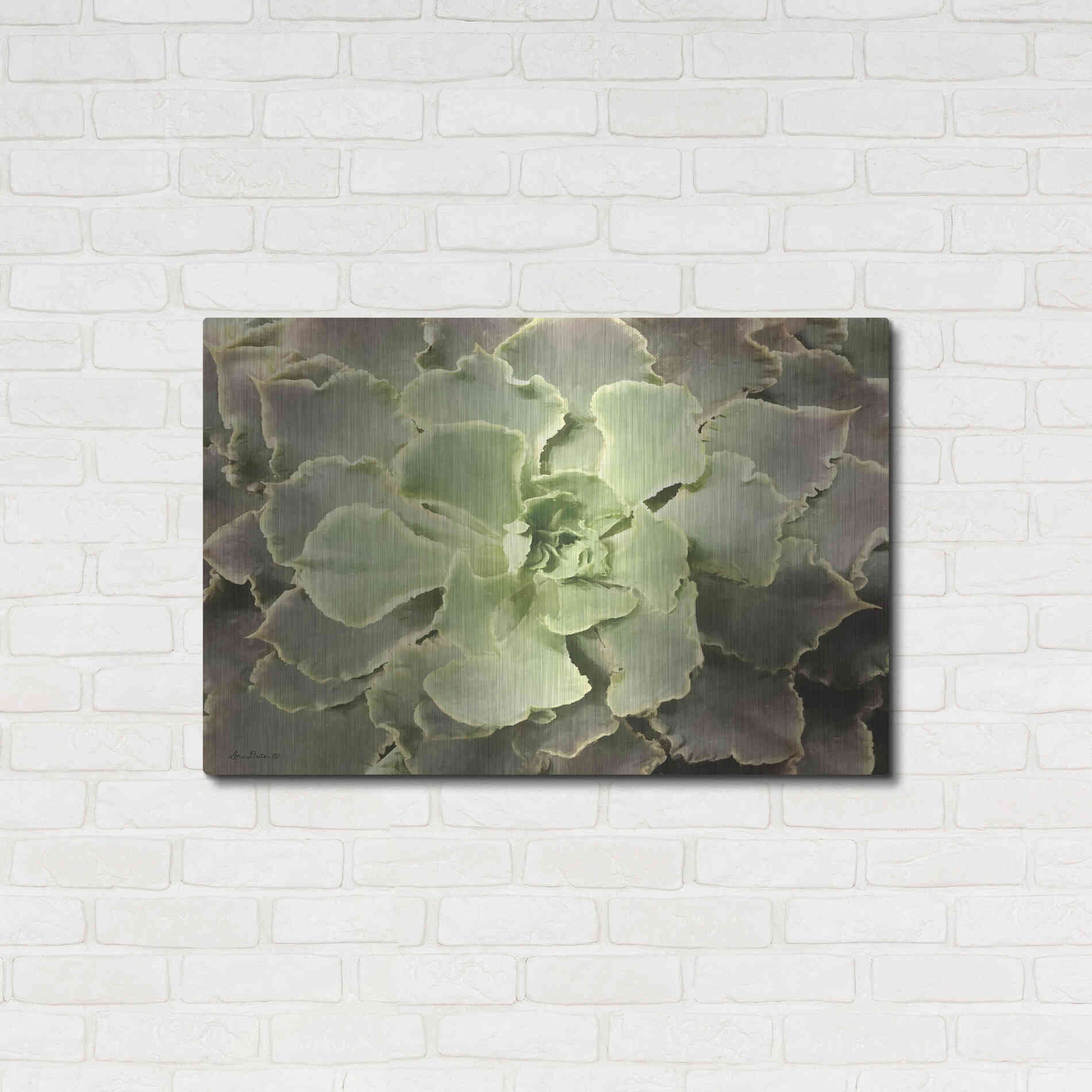 Luxe Metal Art 'Glowing Succulent II' by Lori Deiter, Metal Wall Art,36x24