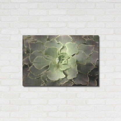 Luxe Metal Art 'Glowing Succulent II' by Lori Deiter, Metal Wall Art,36x24