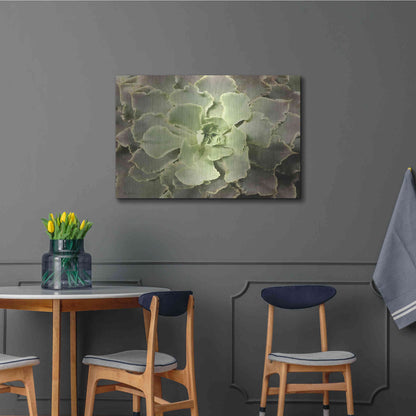 Luxe Metal Art 'Glowing Succulent II' by Lori Deiter, Metal Wall Art,36x24