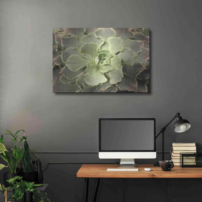 Luxe Metal Art 'Glowing Succulent II' by Lori Deiter, Metal Wall Art,36x24