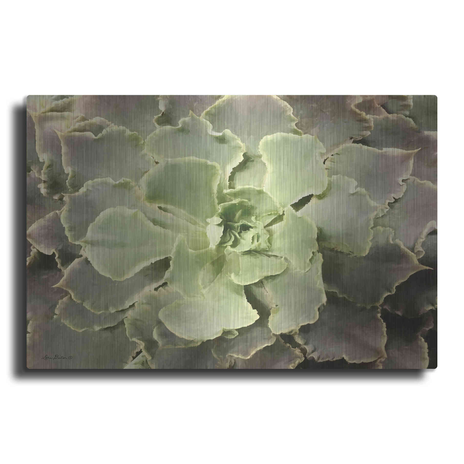 Luxe Metal Art 'Glowing Succulent II' by Lori Deiter, Metal Wall Art