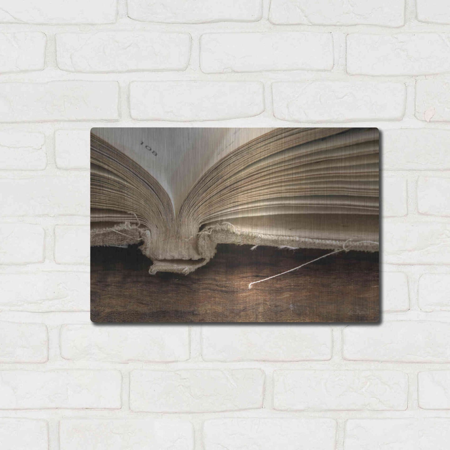 Luxe Metal Art 'Page 108' by Lori Deiter, Metal Wall Art,16x12