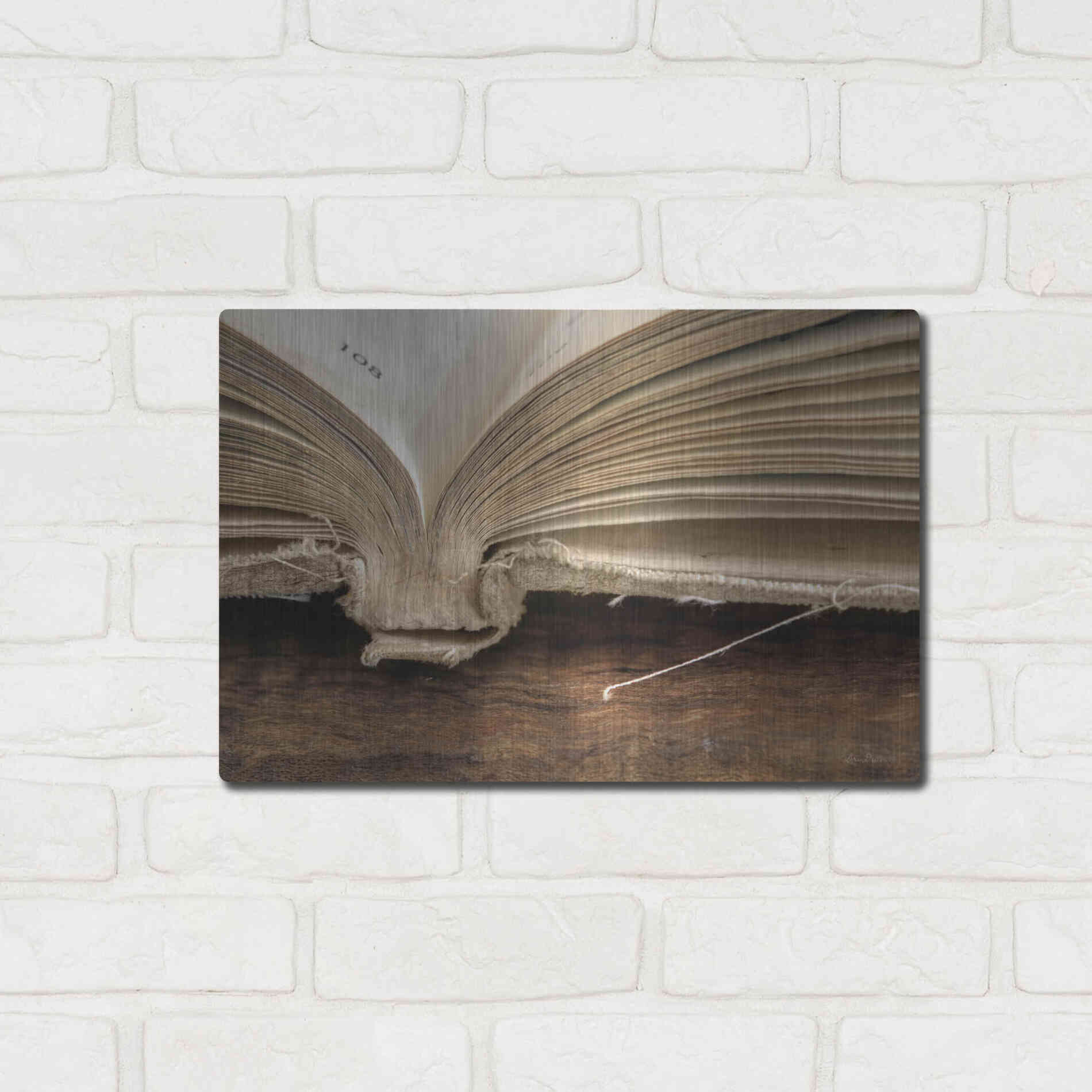 Luxe Metal Art 'Page 108' by Lori Deiter, Metal Wall Art,16x12