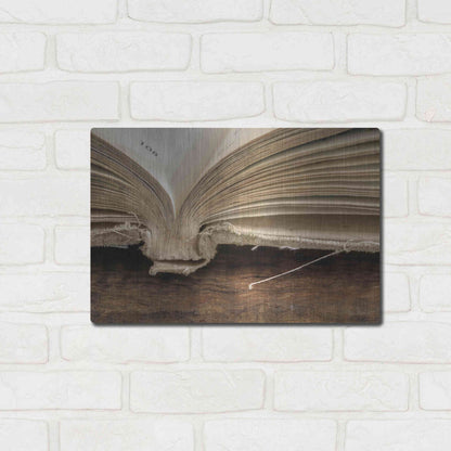 Luxe Metal Art 'Page 108' by Lori Deiter, Metal Wall Art,16x12